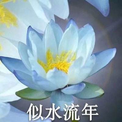 江湖侠客令tt客户端下载