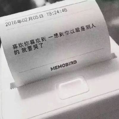 光遇白鸟版下载