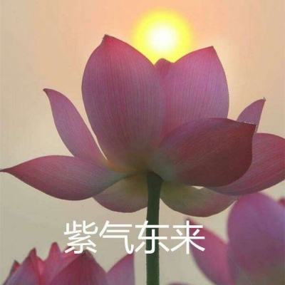 夜读丨馄饨里的乡愁